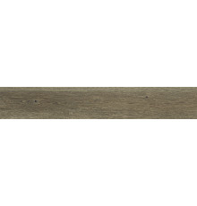 Керамогранит ABK Poetry Wood Oak Nat PF60010060 20х120 см