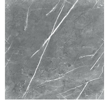 Керамогранит Royce Tile Carnico Grey Polished R_PR1019 60х60 см