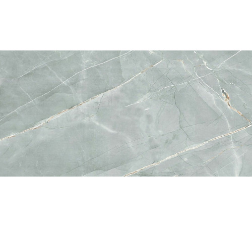 Керамогранит Royce Tile William Grey Polished R_PR2019 60х120 см