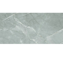 Керамогранит Royce Tile William Grey Polished R_PR2019 60х120 см