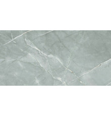 Керамогранит Royce Tile William Grey Polished R_PR2019 60х120 см