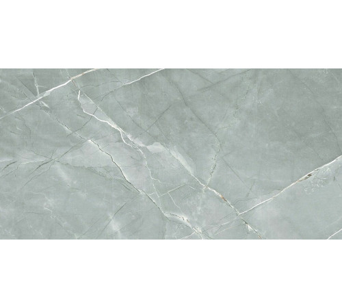 Керамогранит Royce Tile William Grey Polished R_PR2019 60х120 см