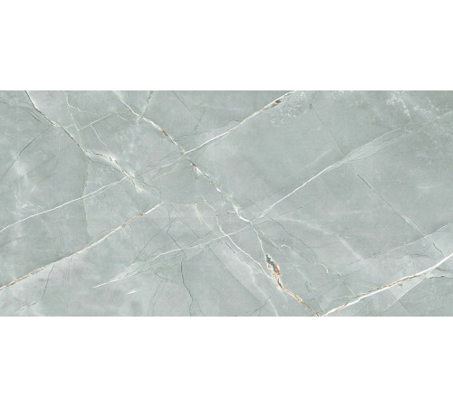 Керамогранит Royce Tile William Grey Polished R_PR2019 60х120 см