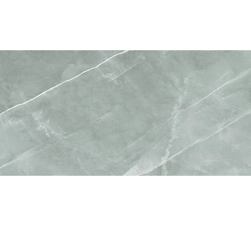 Керамогранит Royce Tile William Grey Polished R_PR2019 60х120 см