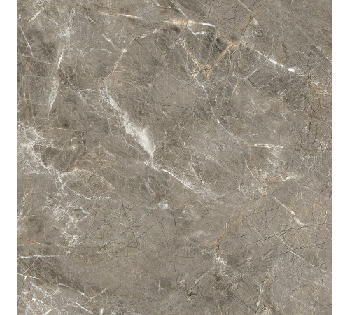 Керамогранит Royce Tile Olympia Grey Polished R_PR1023 60х60 см