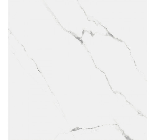 Керамогранит Royce Tile Carrara Marmo Polished R_PR1004 60х60 см