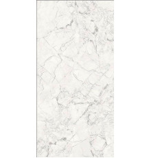 Керамогранит Alpas Premium Marble Breccia Silver Carving 6 mm n144732 60х120 см