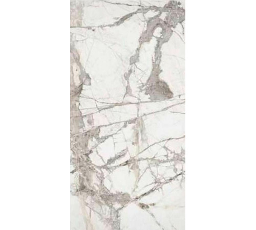 Керамогранит Alpas Premium Marble Ice Burg Pol 6 mm n144735 60х120 см