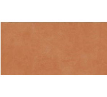 Керамогранит Ceramica D Imola Retina Rtn6Aranc12Rm 60х120 см