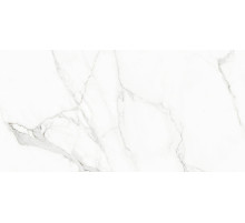 Керамогранит Naxos Ceramica Rhapsody White Beauty Naturale Rettificato 120126 60x120 см