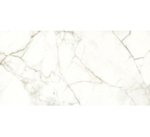 Керамогранит Naxos Ceramica Rhapsody Emotion Levigato Rettificato 117782 60x120 см