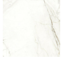 Керамогранит Naxos Ceramica Rhapsody Emotion Naturale Rettificato 120357 60x60 см