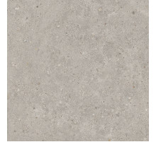 Керамогранит Kerama Marazzi Риккарди серый светлый матовый обрезной SG653720R 60х60 см