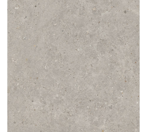 Керамогранит Kerama Marazzi Риккарди серый светлый матовый обрезной SG653720R 60х60 см