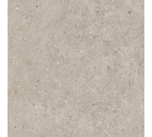 Керамогранит Kerama Marazzi Риккарди бежевый матовый обрезной SG653820R 60х60 см