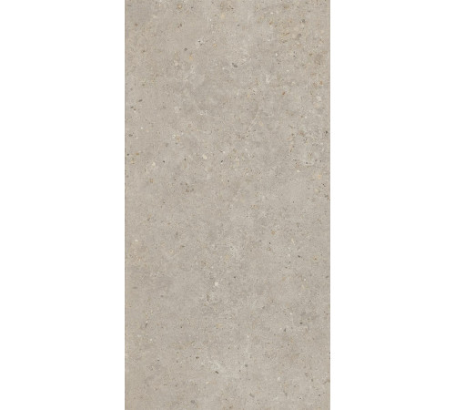 Керамогранит Kerama Marazzi Риккарди бежевый матовый обрезной SG540620R 60х119,5 см