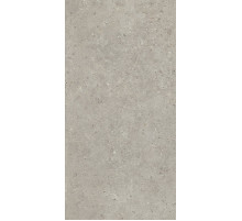Керамогранит Kerama Marazzi Риккарди серый светлый матовый обрезной SG519920R 60х119,5 см