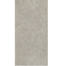 Керамогранит Kerama Marazzi Риккарди серый светлый матовый обрезной SG519920R 60х119,5 см