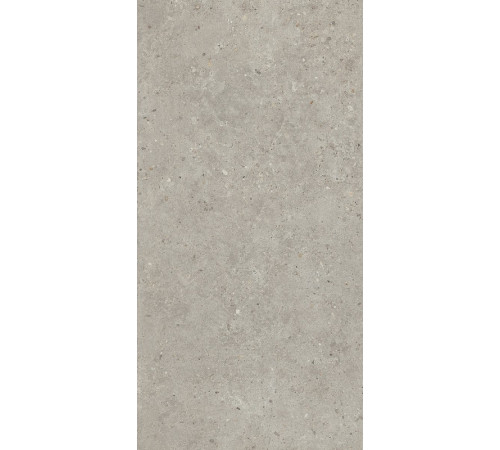 Керамогранит Kerama Marazzi Риккарди серый светлый матовый обрезной SG519920R 60х119,5 см