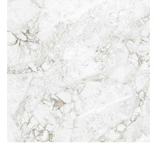 Керамогранит Absolut Gres Rossalia Natural AB1208G 60х60 см