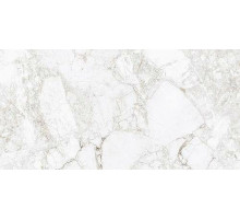 Керамогранит Absolut Gres Rossalia Natural AB 1171G 60х120 см