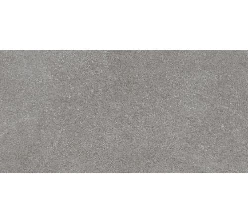 Керамогранит Kerama Marazzi Роверелла пепельный обрезной DL501220R 60х119,5 см