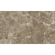 Керамическая плитка Gracia Ceramica Saloni brown 02 настенная 30x50 см