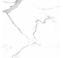 Керамогранит Primavera Salvatore Polished PR107 60x60 см