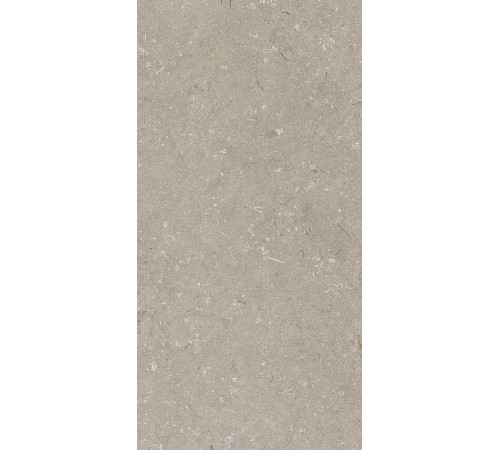 Керамогранит Dado Ceramica Shellstone Taupe 005468 60х120 см