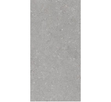 Керамогранит Dado Ceramica Shellstone Grigio 005485 60х120 см