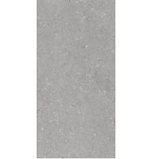 Керамогранит Dado Ceramica Shellstone Grigio 005485 60х120 см