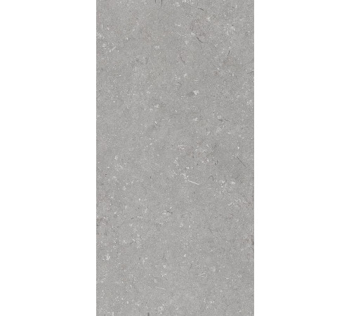 Керамогранит Dado Ceramica Shellstone Grigio 005485 60х120 см