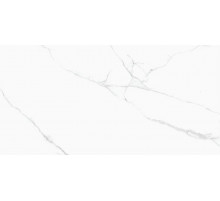 Керамогранит Simpolo CRV-3141 carving MPL-058816 60х120 см