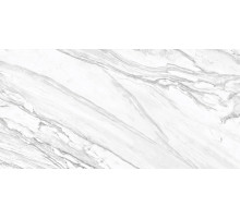 Керамогранит Delacora Statuary Venato D12065M 60х120 см