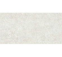 Керамогранит NT Ceramiс Terrazzo TZ612NTT9501L 60х120 см