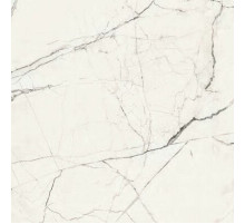 Керамогранит Ceramica D Imola The Room Stavp6120Lp 120х120 см