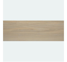 Керамическая плитка Alma Ceramica Tokio TWA11TOK404 настенная 20х60 см