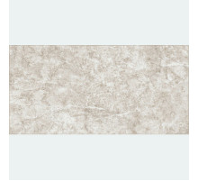 Керамическая плитка Alma Ceramica Trevis TWU09TVS414 настенная 24,9х50 см