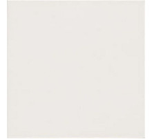 Керамогранит Mainzu Trinity Riga White PT02983 20х20 см