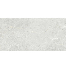 Керамогранит Art&Natura Ceramica Una Pietra Nordix Silver Glossy 60х120 см