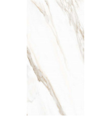 Керамогранит Tuscania Ceramiche White Marble Calacatta Oro Rett R63WMCA 61х122,2 см