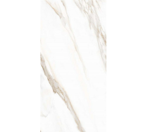 Керамогранит Tuscania Ceramiche White Marble Calacatta Oro Rett R63WMCA 61х122,2 см