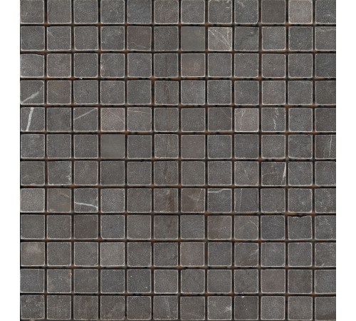 Керамическая мозаика StarMosaic Wild Stone VBs Tumbled 30x30 см