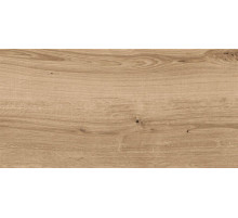 Керамогранит Cersanit Woodhouse темно-бежевый C-WS4O152D (16354) 29,7х59,8 см
