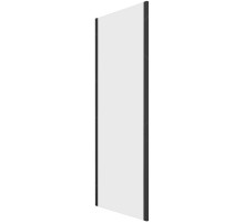 Душевая стенка RGW Z-050-2-B 100 352205200-24 профиль Черный стекло матовое-сатинат