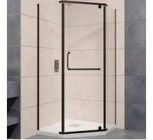 Душевой уголок RGW Passage PA-081B 100x100 35088100-14 профиль Черный стекло прозрачное