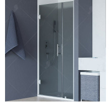 Душевая дверь RGW Hotel HO-012 110 350601211-31 профиль Хром стекло тонированное