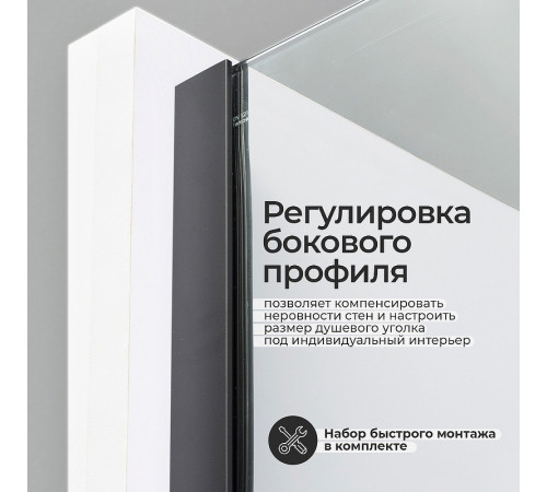 Душевой уголок WasserKRAFT Elbe 100x90 74P22 профиль Черный матовый стекло прозрачное