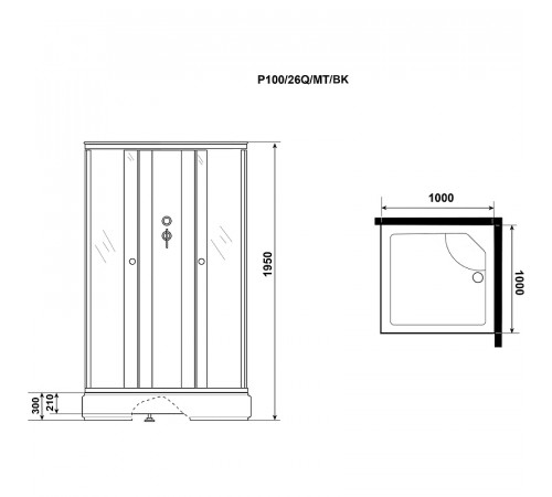 Душевая кабина Niagara Promo 100x100 P100/26Q/MT/BK без гидромассажа