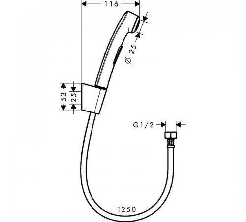 Гигиенический душ Hansgrohe 32129000 Хром